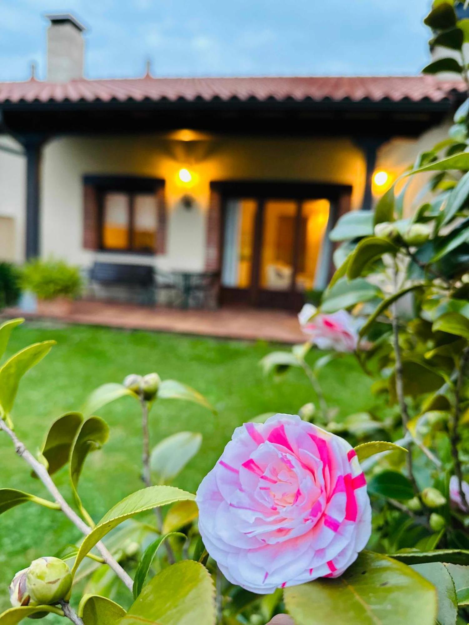 Apartamentos Rurales La Carbayala 오비나라 외부 사진